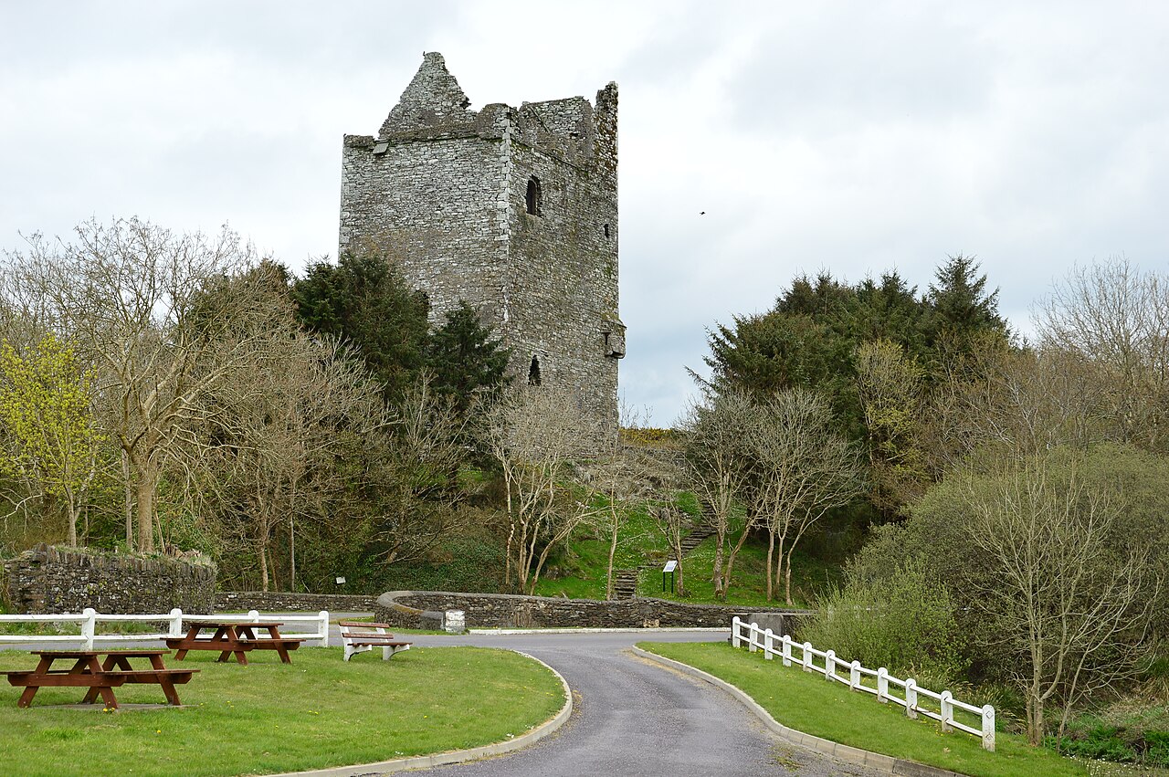 Ballinacarriga Castle — Ireland castle