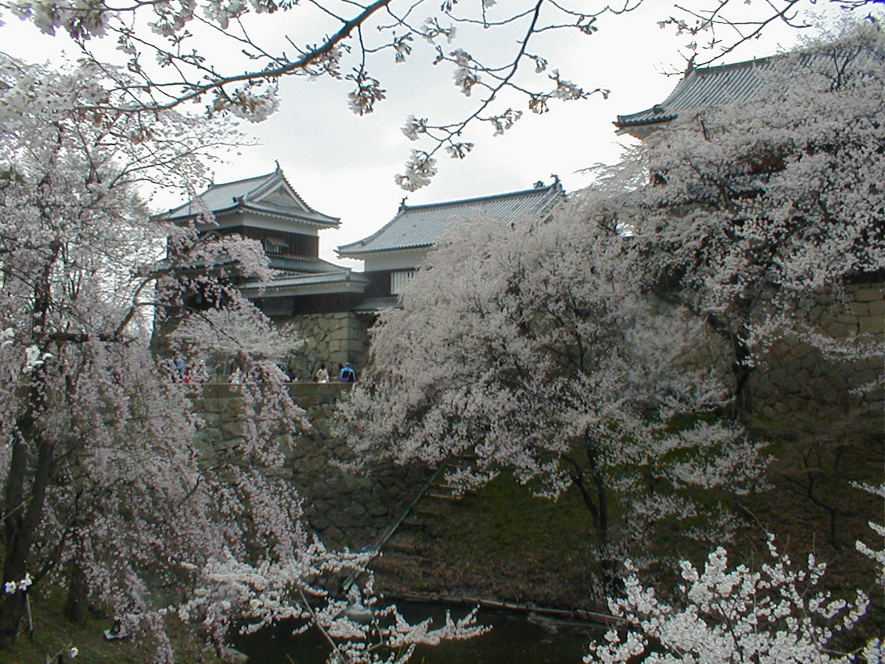 Ueda Castle — Japan castle