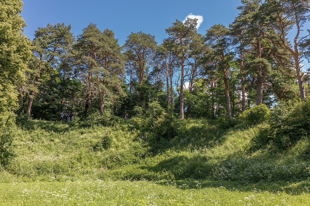 Gorodok (Zvenigorod) — Russian Federation castle