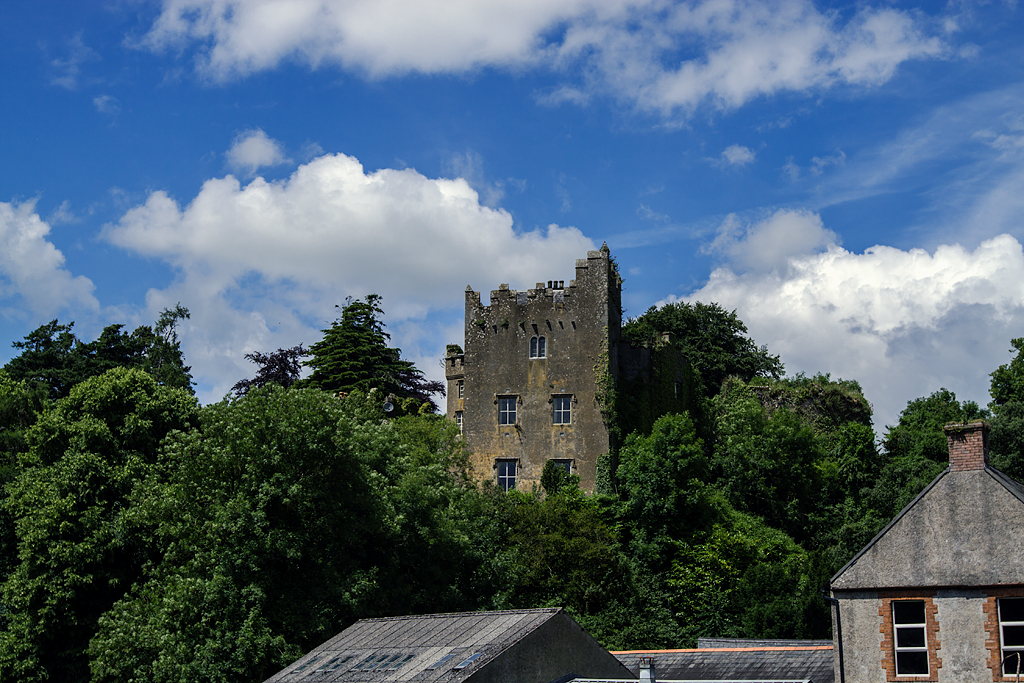 Ardfinnan Castle — Ireland castle