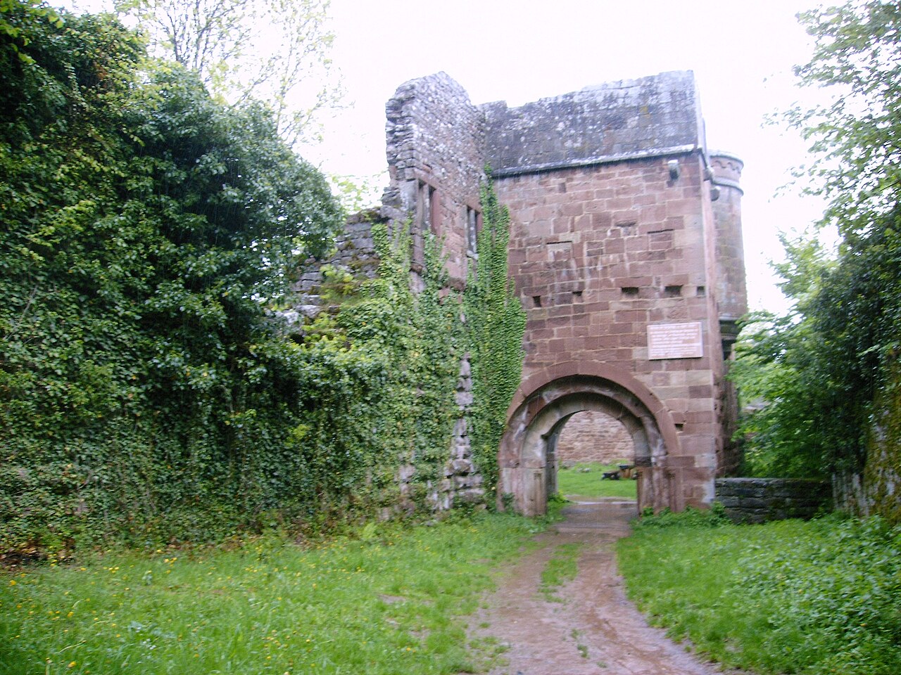 Wildenberg Castle — Germany castle