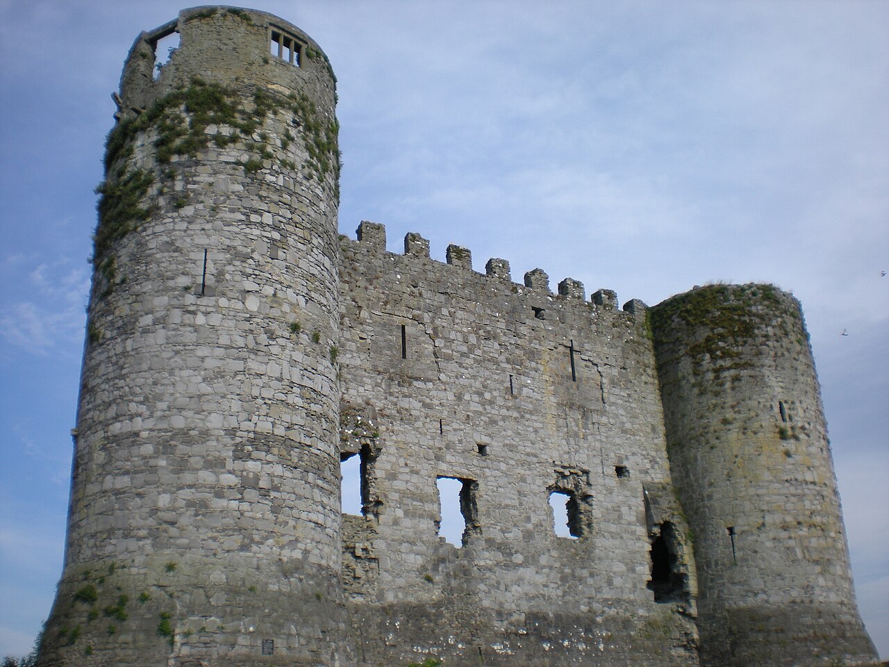 Carlow Castle — Ireland castle