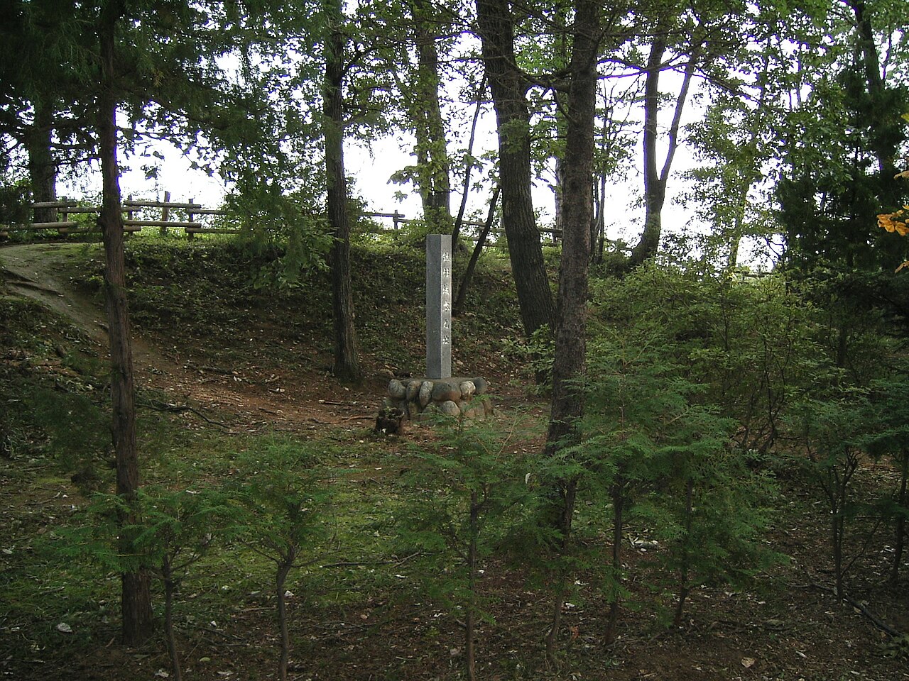 Hachigata Castle — Japan castle