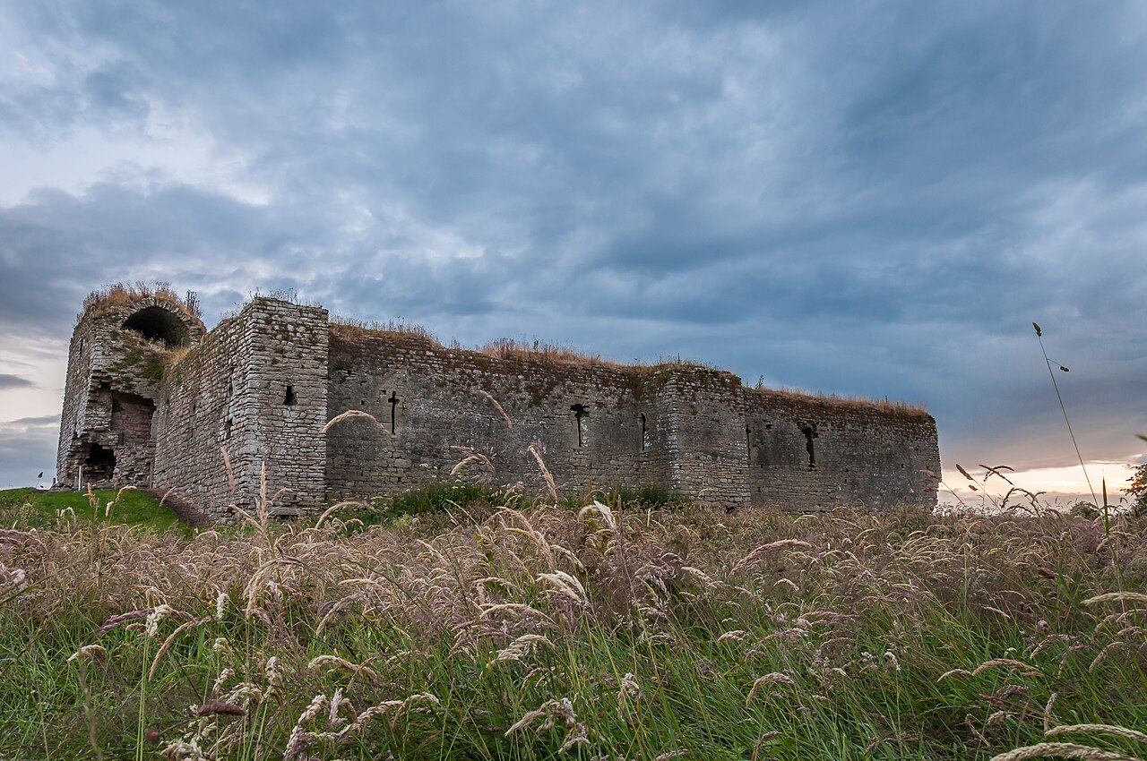 Ballymoon Castle — Ireland castle
