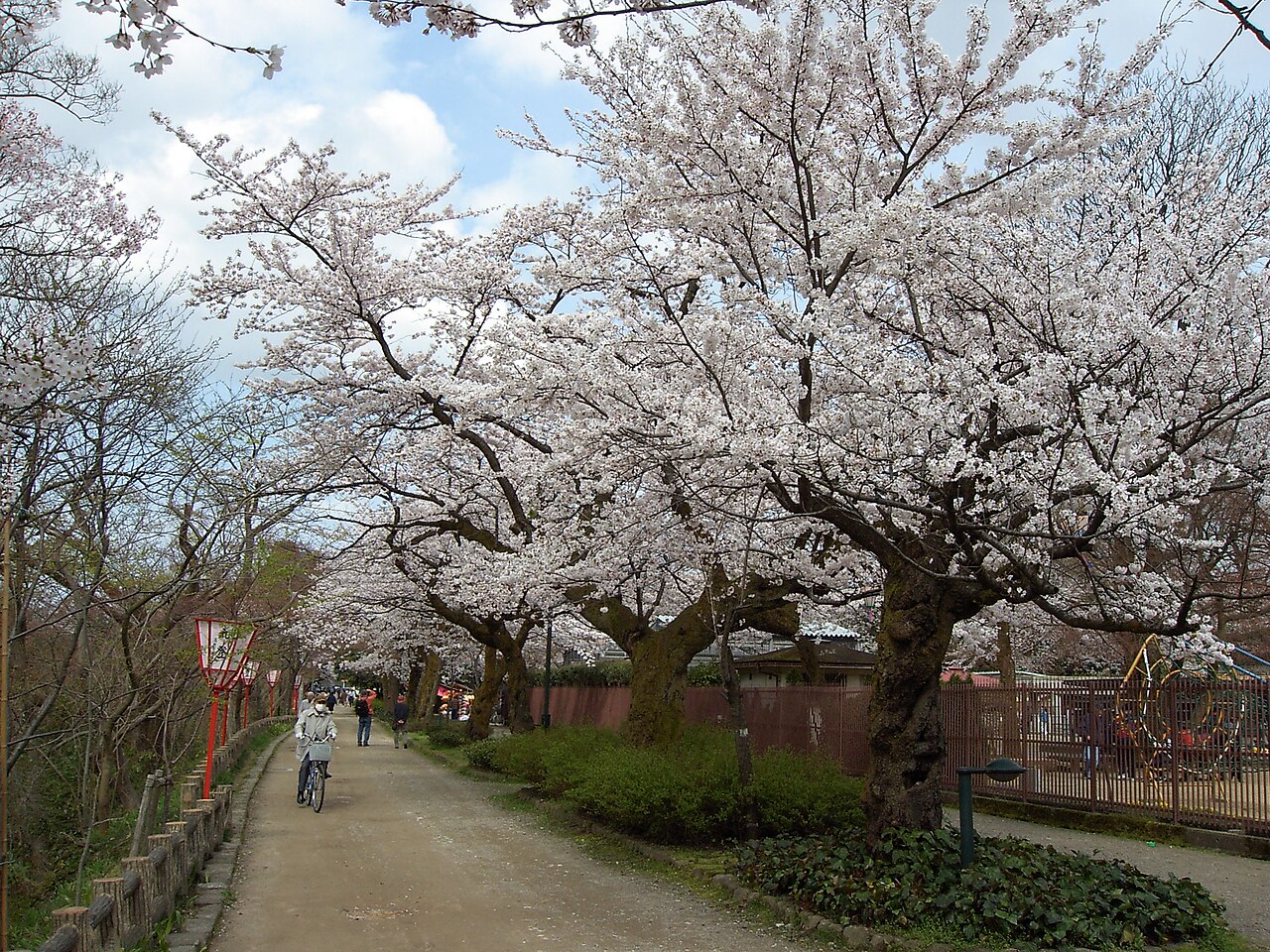 Takaoka Castle — Japan castle