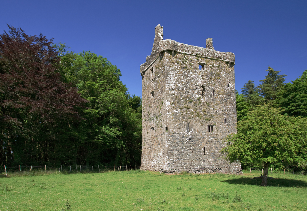 Feartagar Castle — Ireland castle