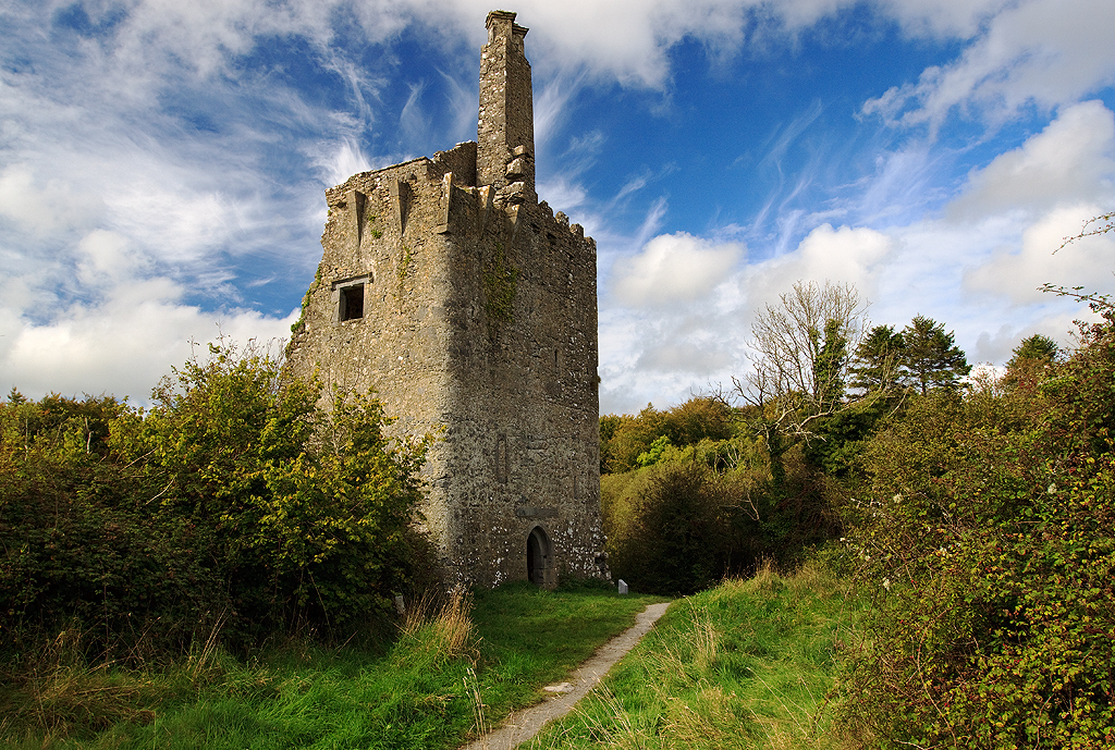 Dromore Castle — Ireland castle