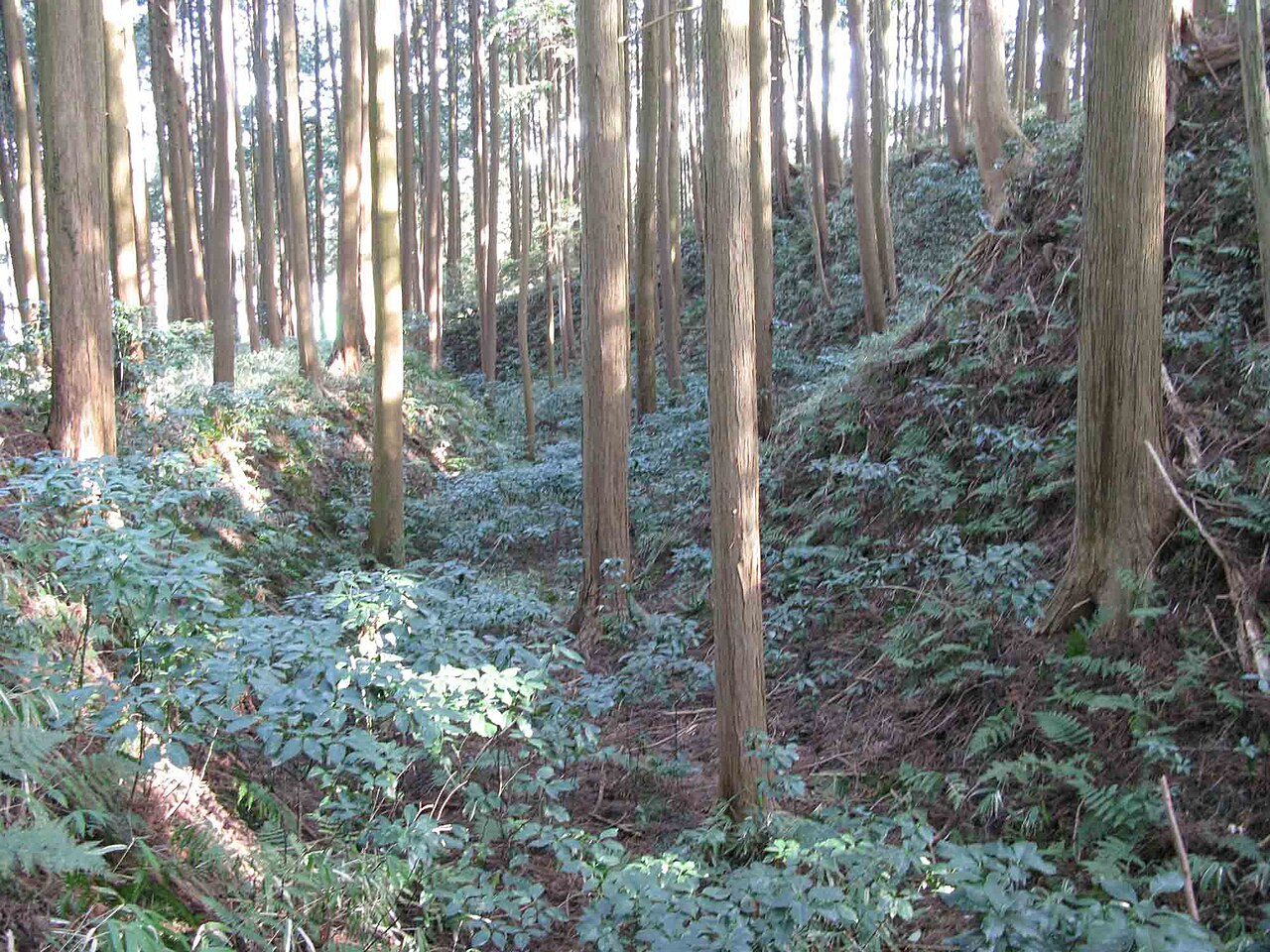 Furumiya Castle — Japan castle