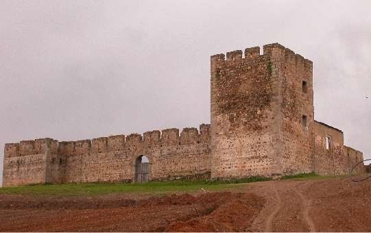 Castle of Valongo — Portugal castle
