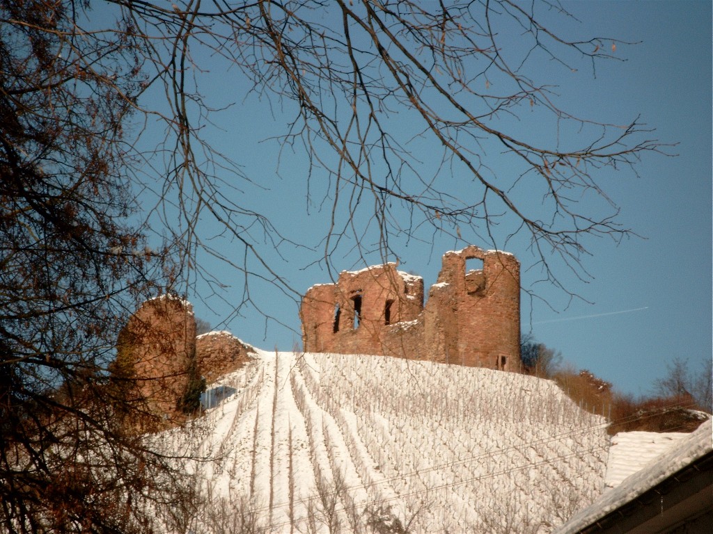 Gutenburg Castle — Germany castle