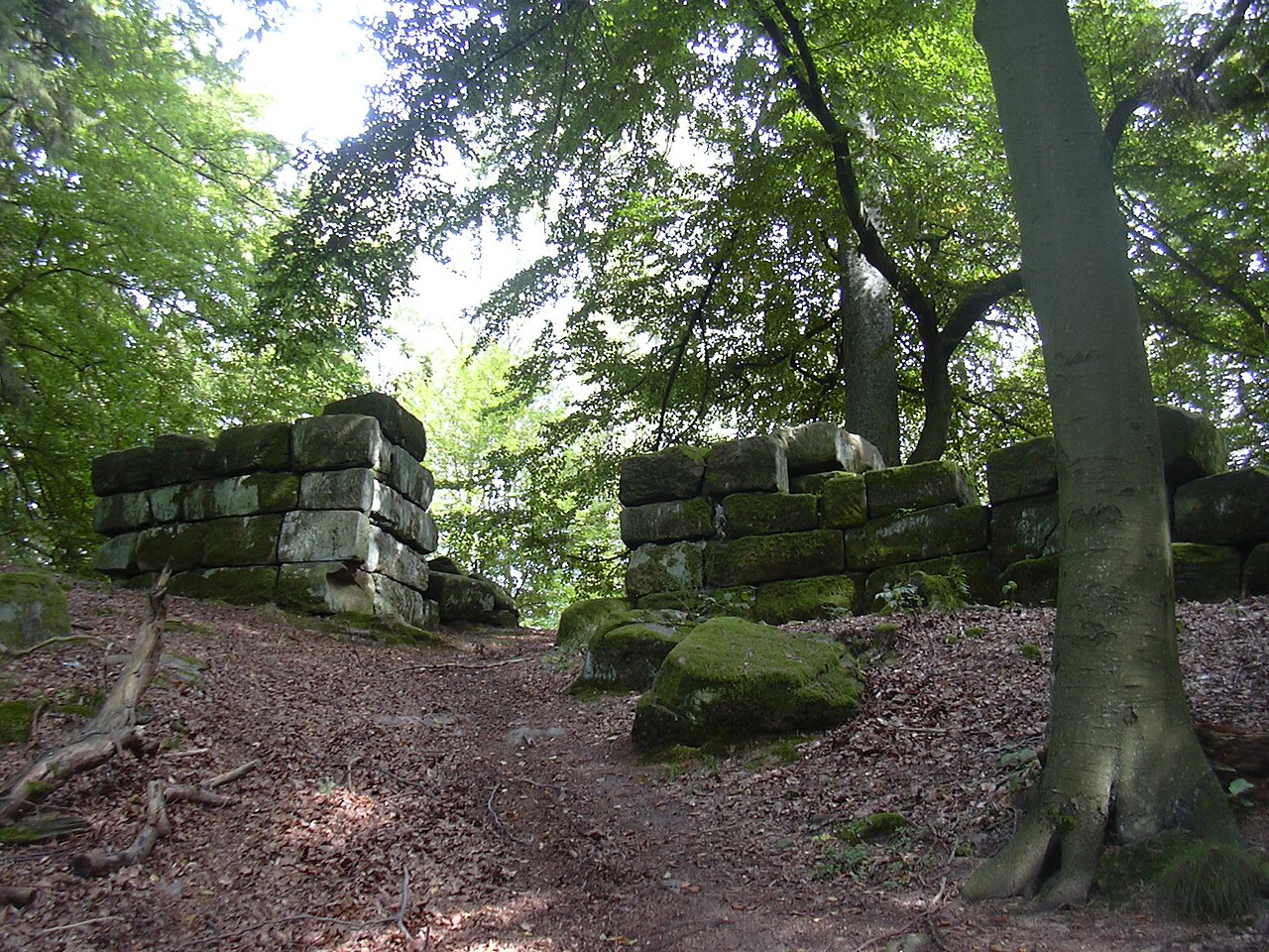 Heidelsburg — Germany castle