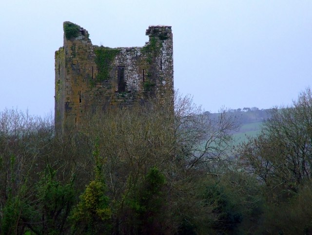 Kilcrea Castle — Ireland castle