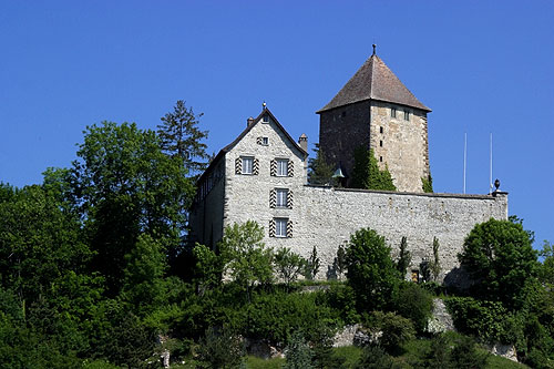 Herblingen Castle — Switzerland castle