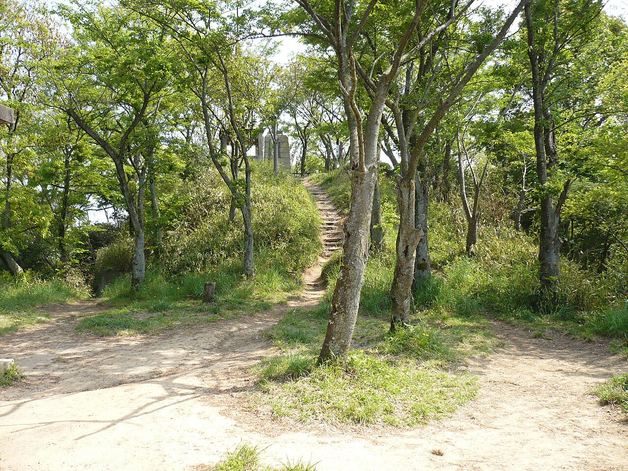 Iimoriyama Castle — Japan castle
