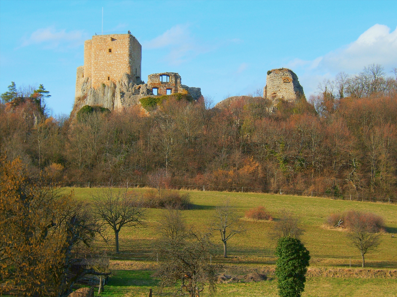 Landskron Castle — France castle