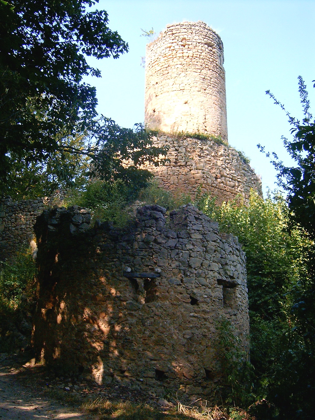 Cimburk Castle — Czechia castle