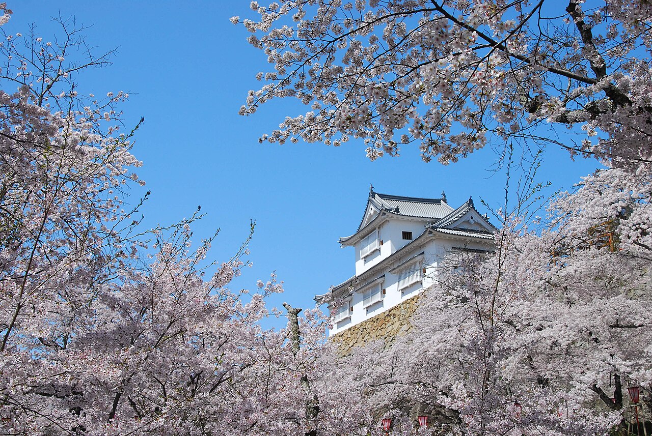 Tsuyama Castle — Japan castle
