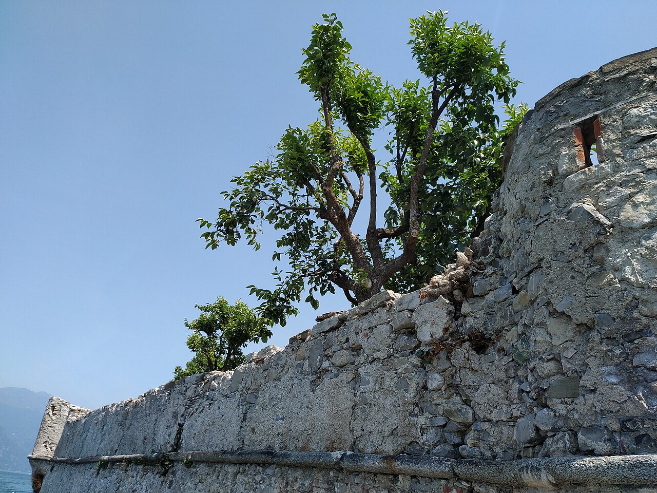 Lierna Castle — Italy castle