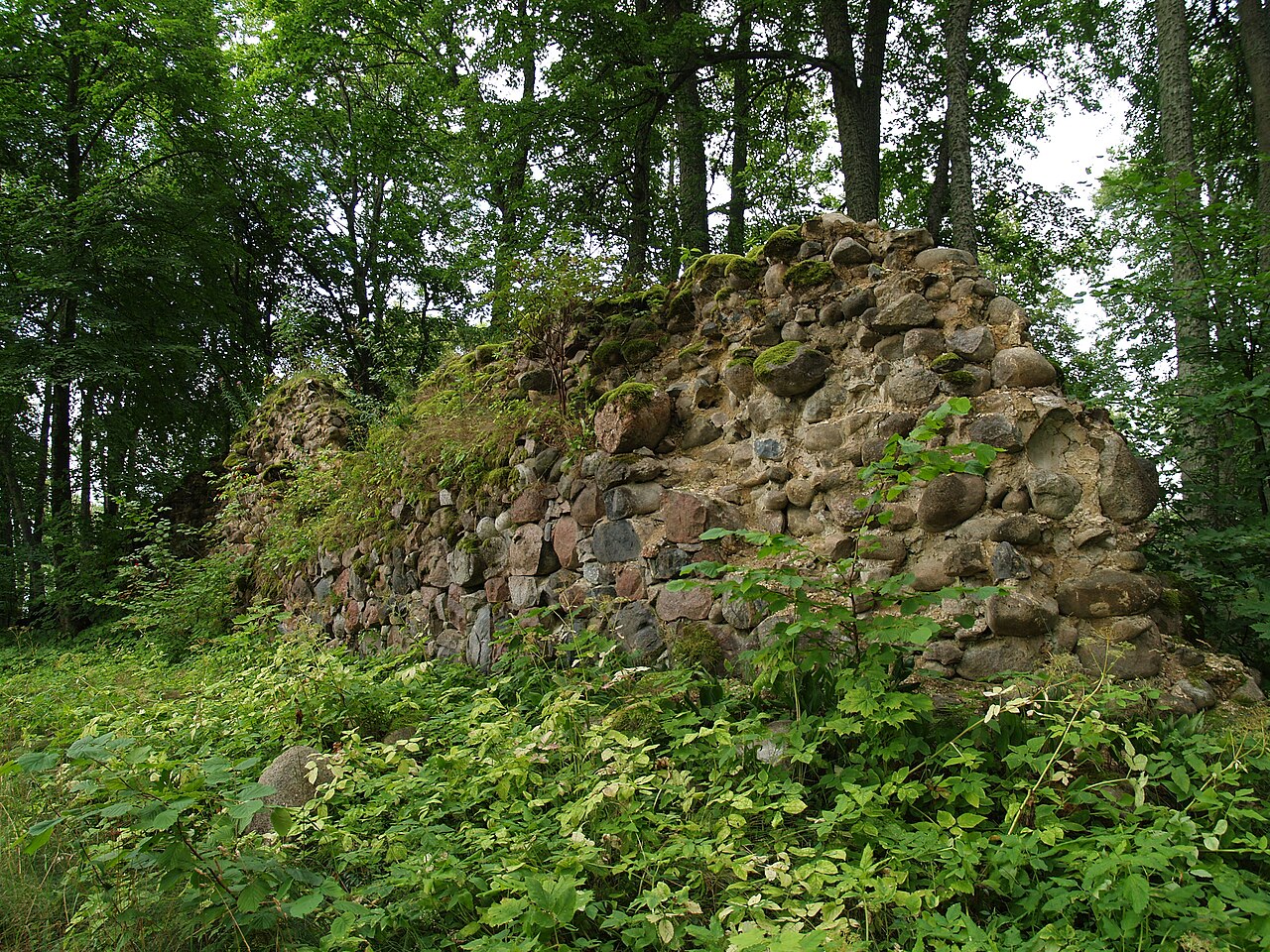 Burtnieki Castle Ruins — Latvia castle