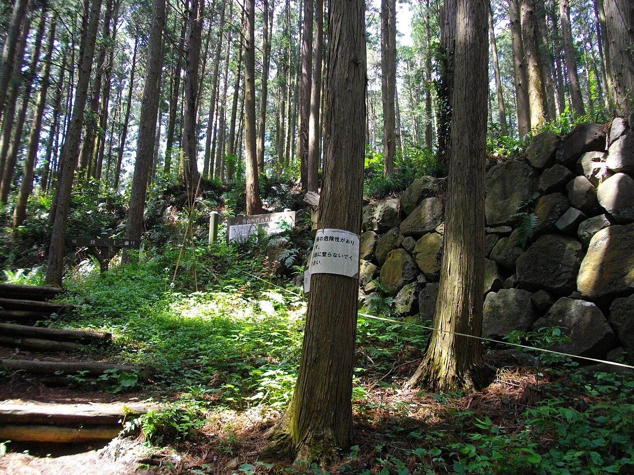 Karasuyama Castle — Japan castle