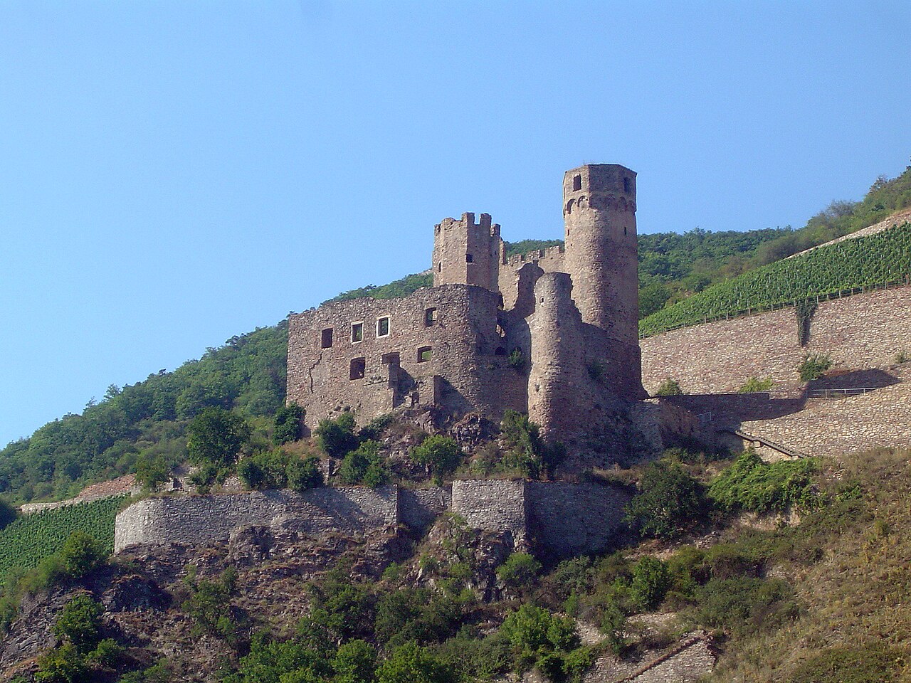 Ehrenfels Castle Ruins — Germany castle