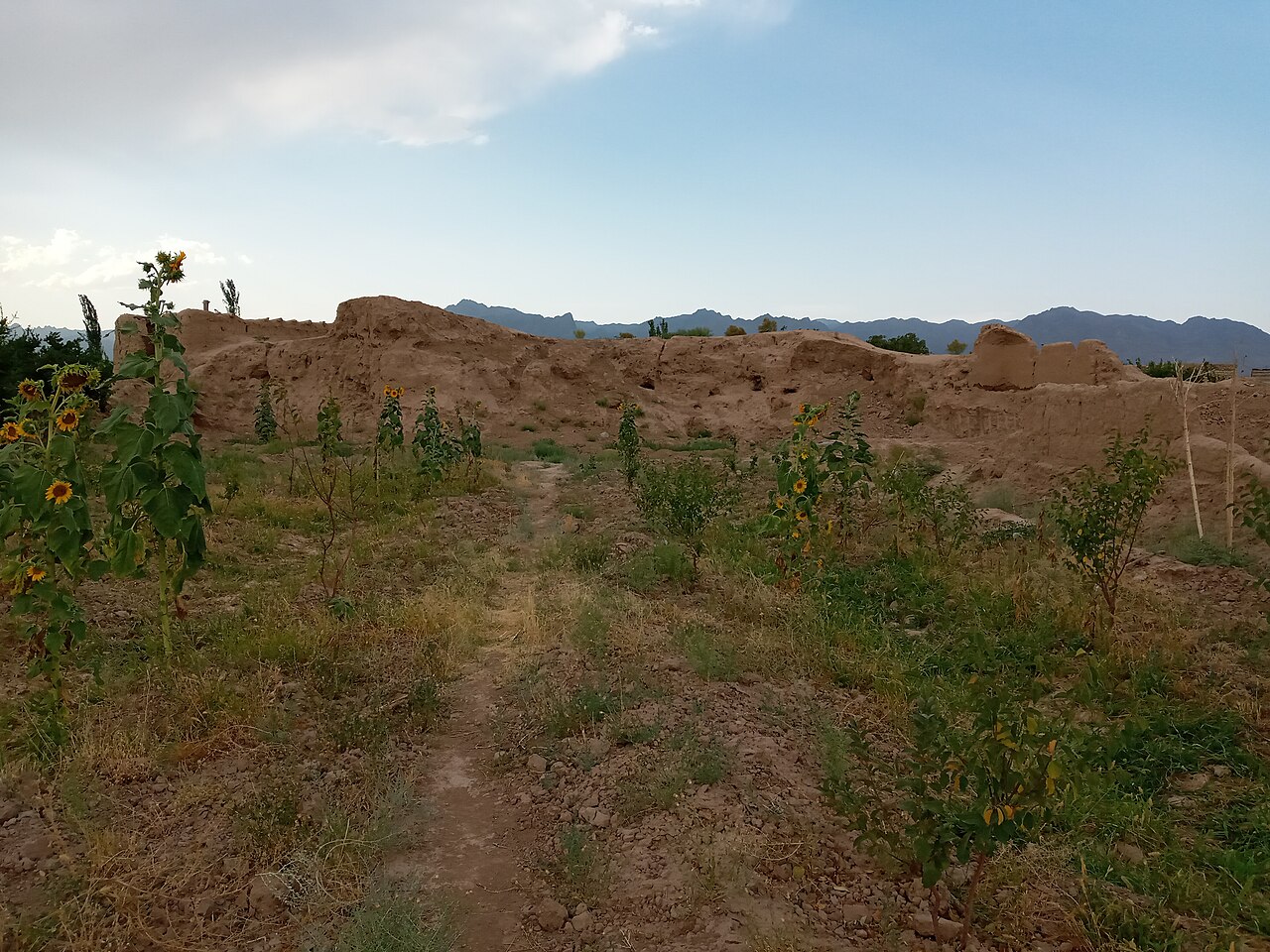 Kohneh Castle (Zendeh Jan) — Iran (Islamic Republic of) castle
