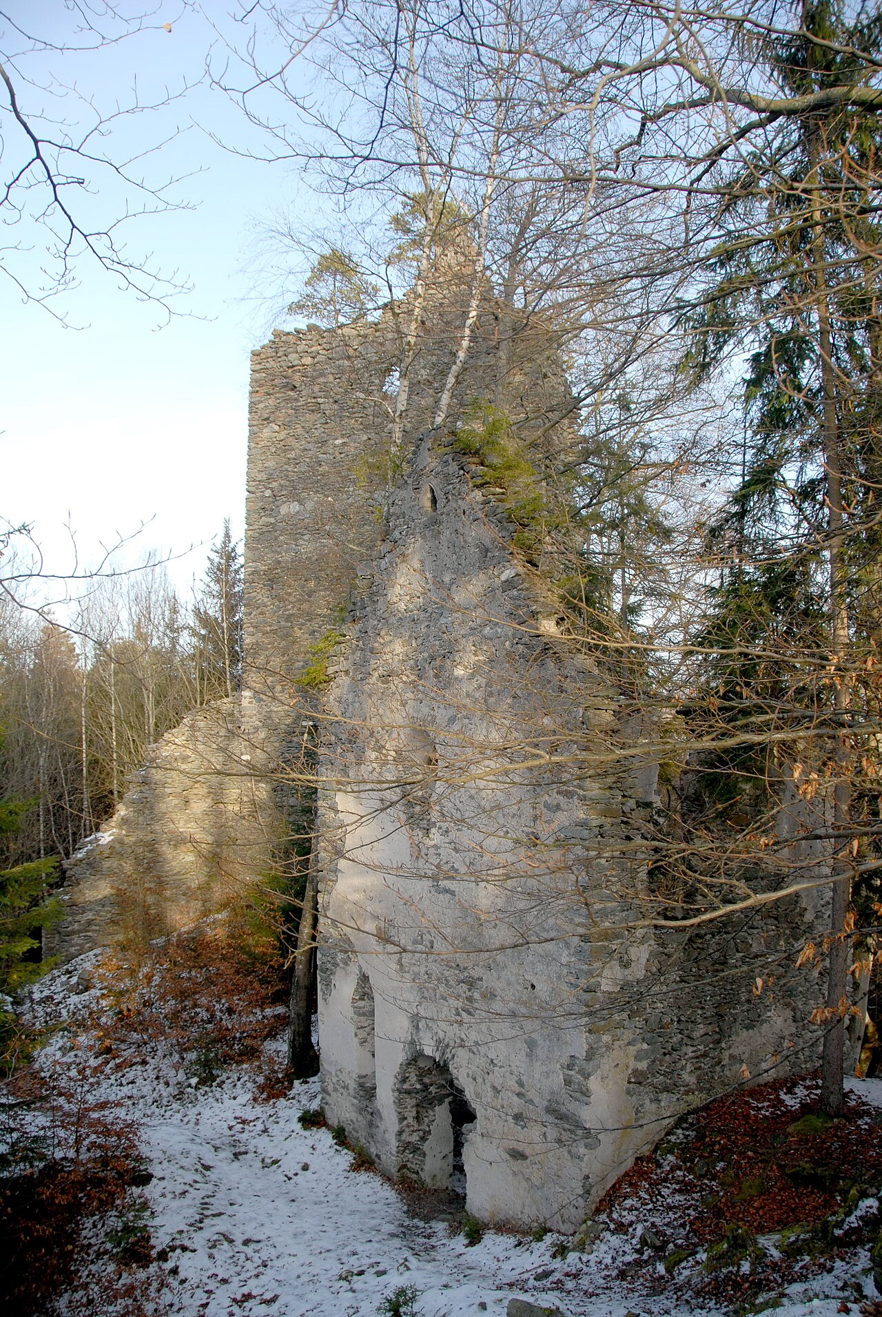 Burgruine Hohenwart — Austria castle