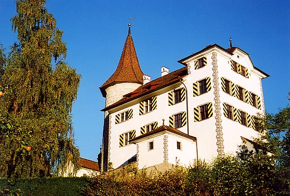 Schauensee Castle — Switzerland castle