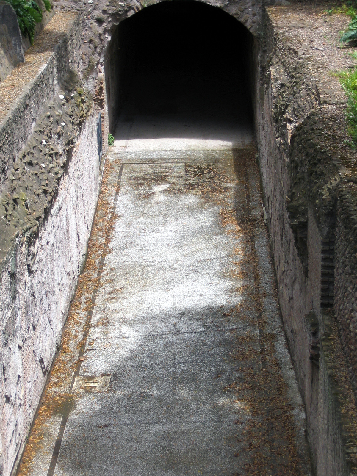Domus Transitoria — Italy castle