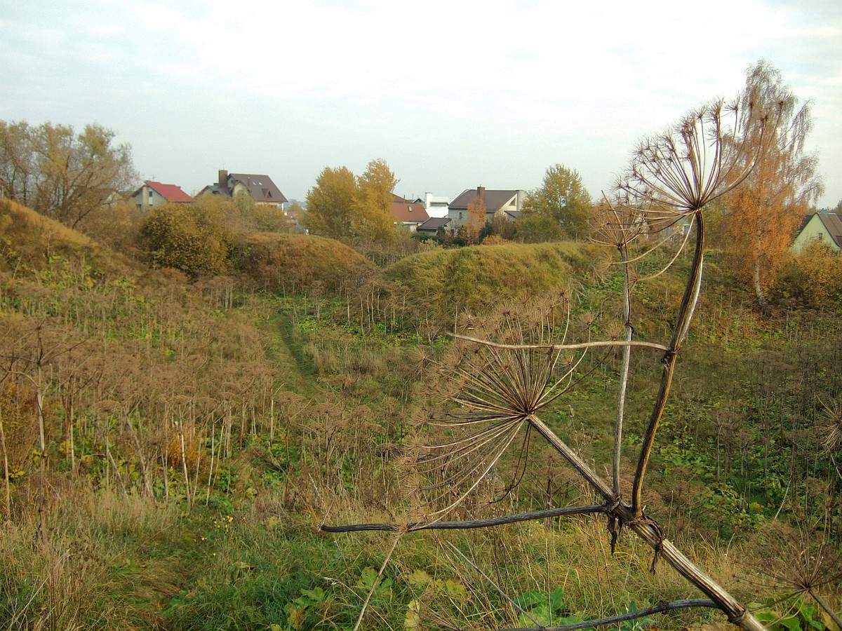 Eighth Fort — Lithuania castle