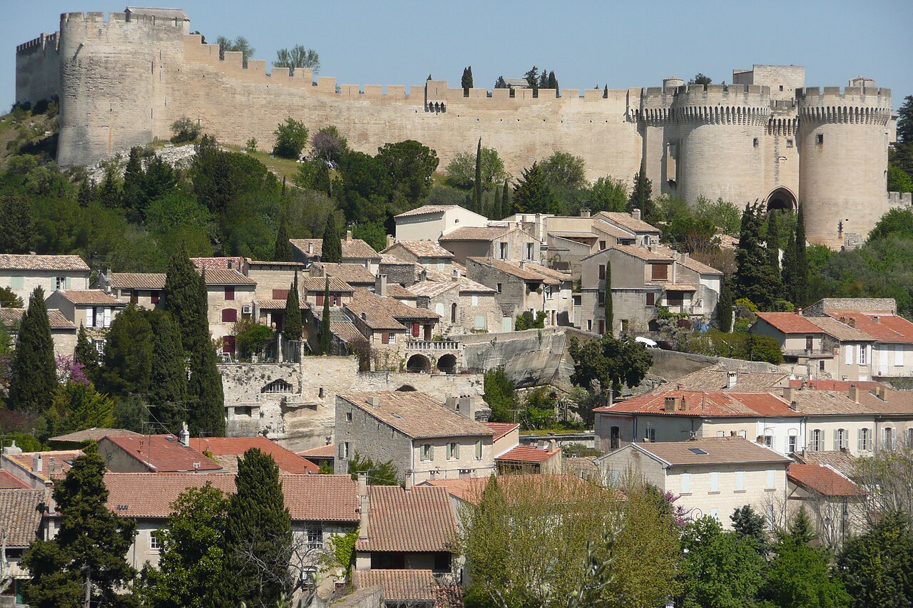 Fort Saint-André - Avignon — France castle
