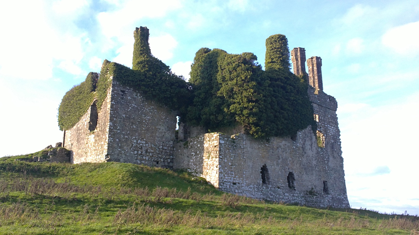 Carbury Castle — Ireland castle