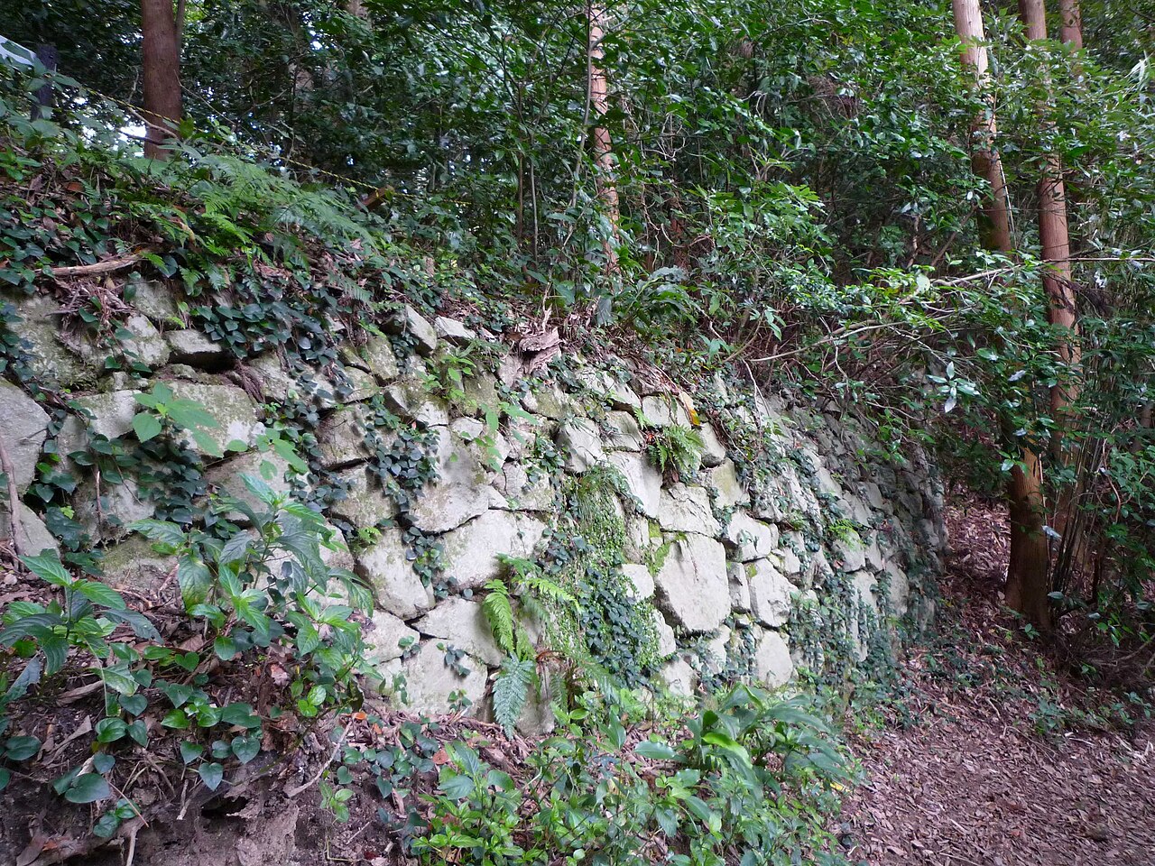 Tachibana Castle — Japan castle