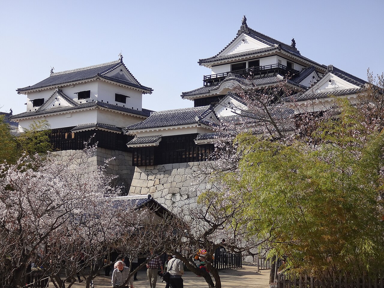 Iyo Matsuyama Castle — Japan castle