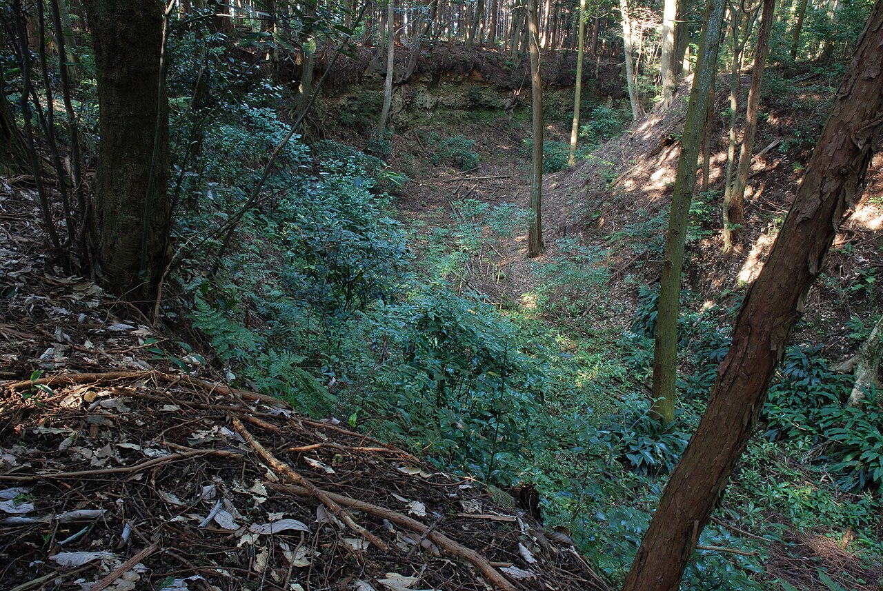 Suwahara Castle — Japan castle