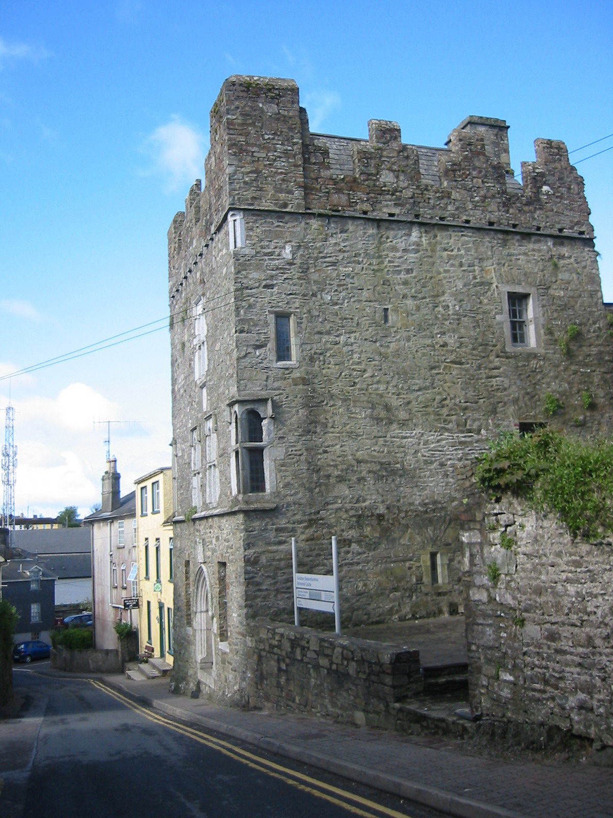 Desmond Castle — Ireland castle