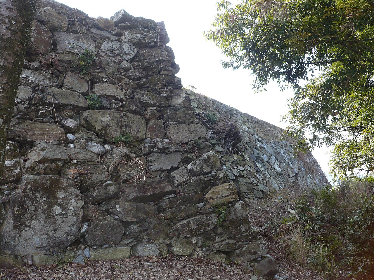 Ichinomiya Castle — Japan castle