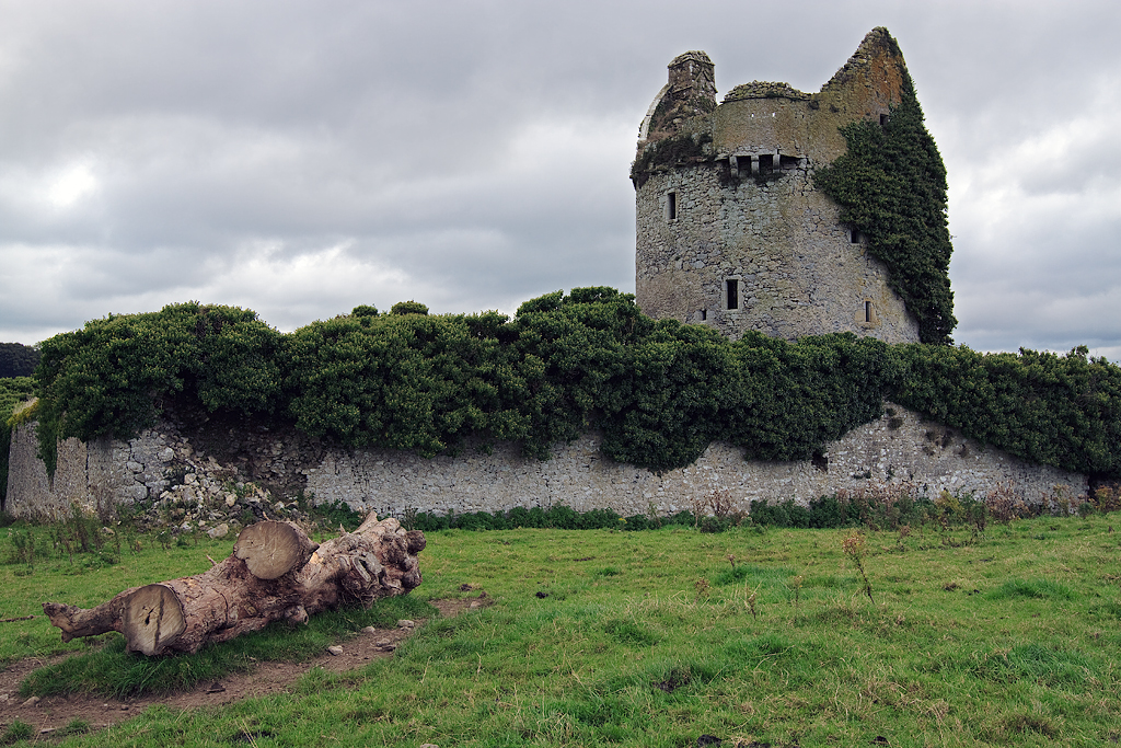 Moorstown Castle — Ireland castle
