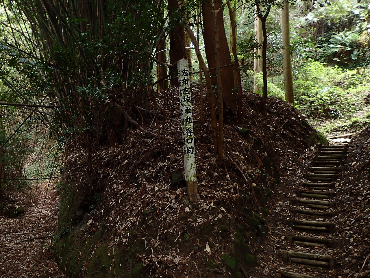 Shibushi Castle — Japan castle