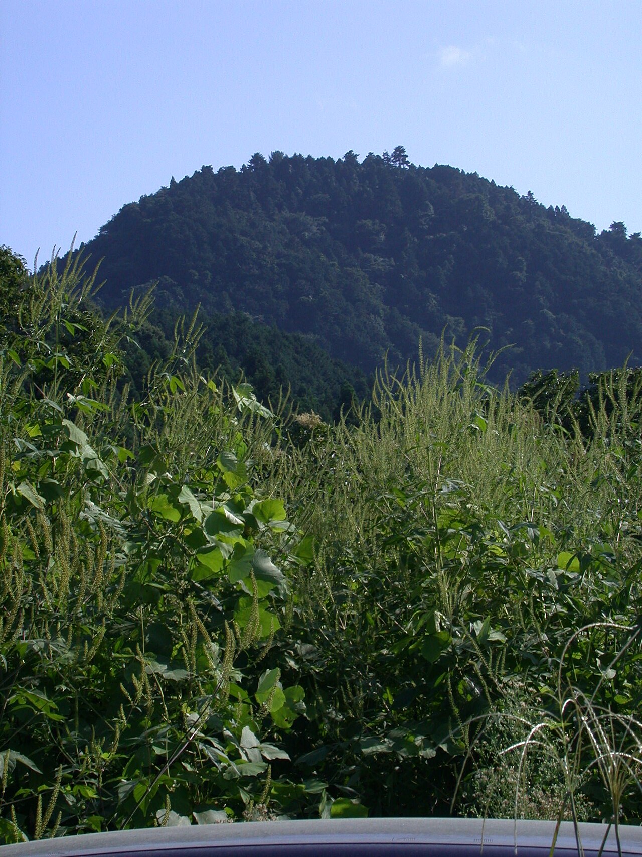Hachioji Castle — Japan castle