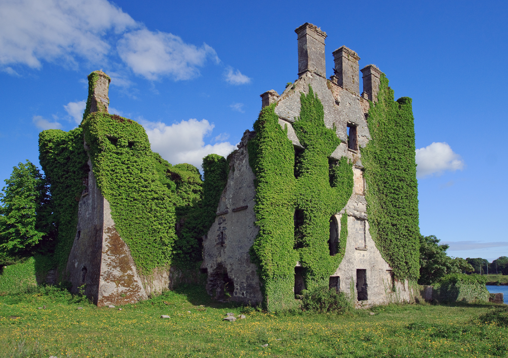Menlo Castle — Ireland castle
