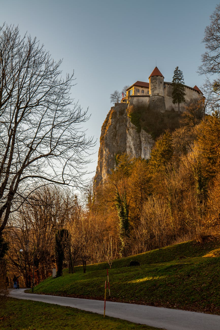 Photo by Vladimir Srajber