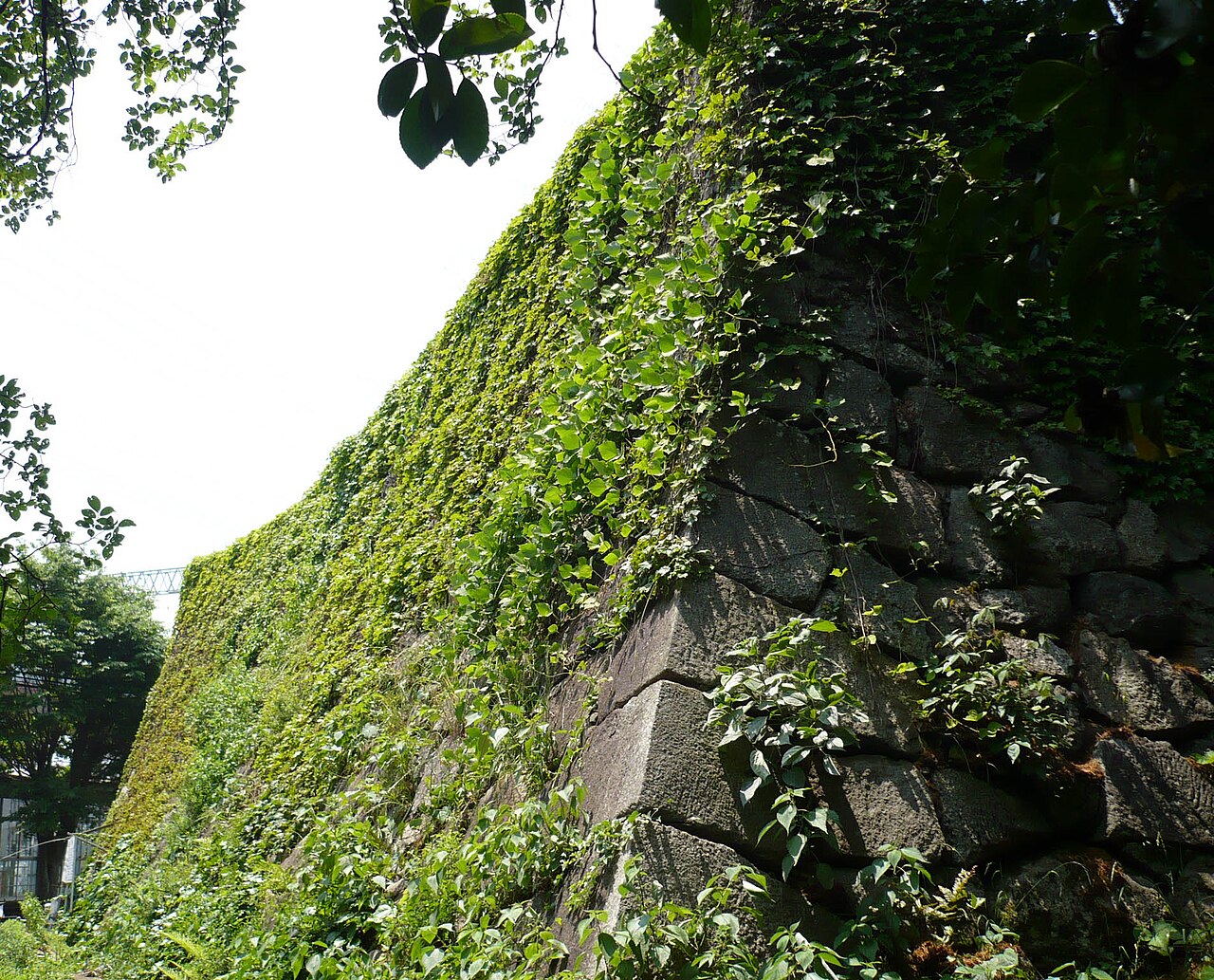 Yodo Castle — Japan castle