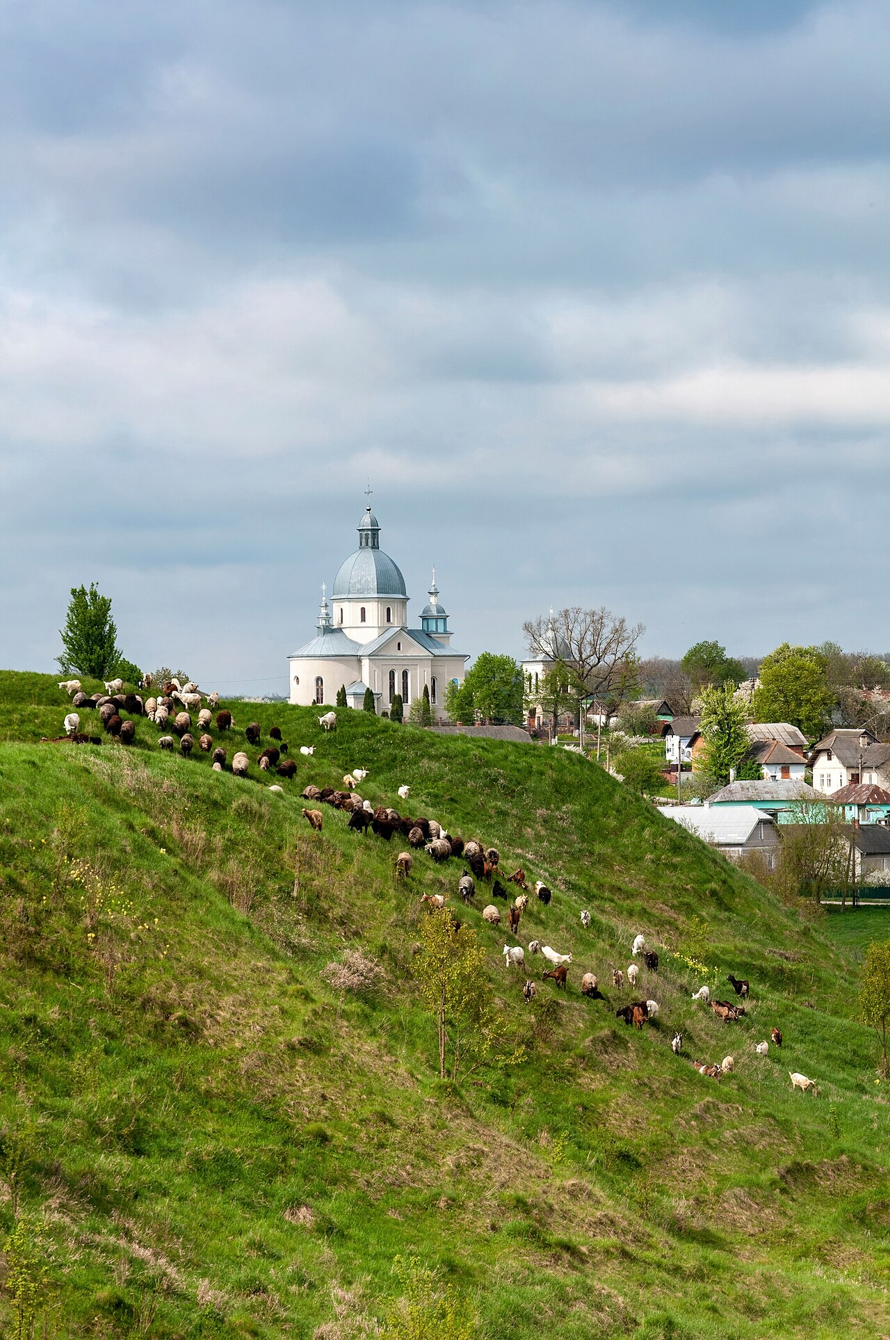 Place of Shmankivtsi Castle — Ukraine castle