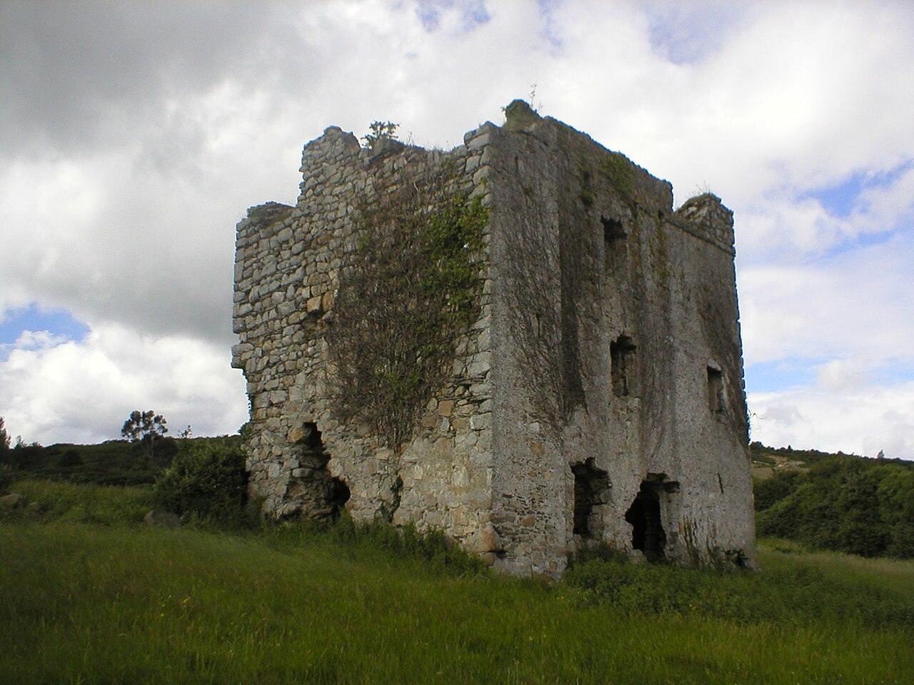 Puck's Castle — Ireland castle