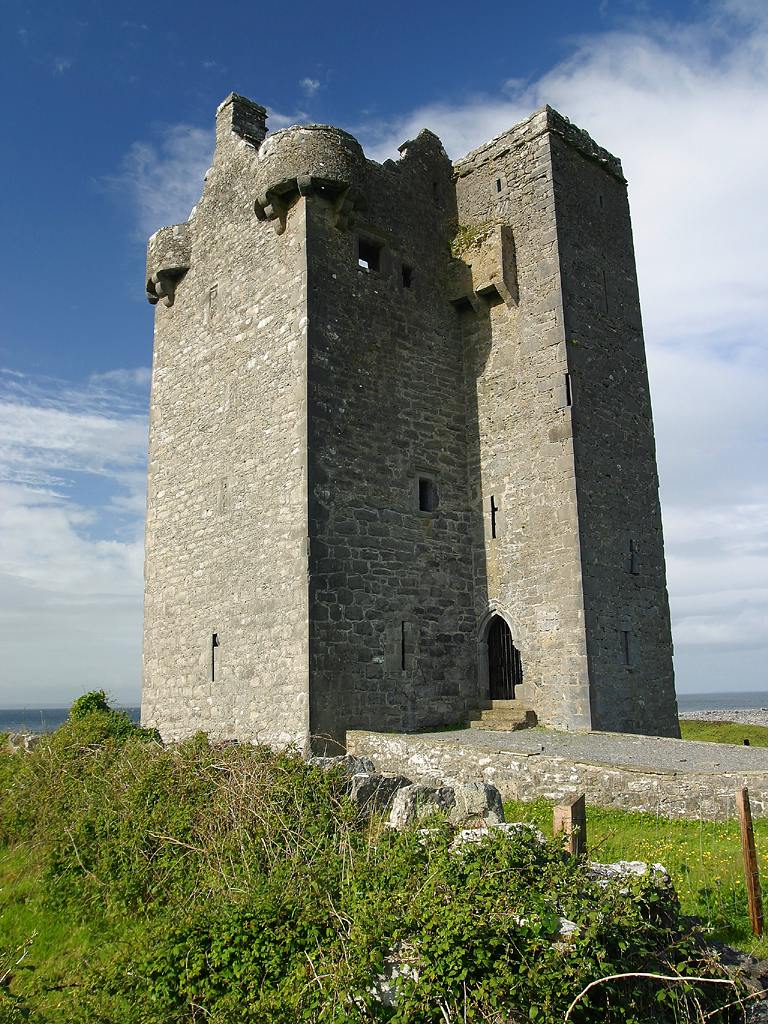 Gleninagh Castle — Ireland castle