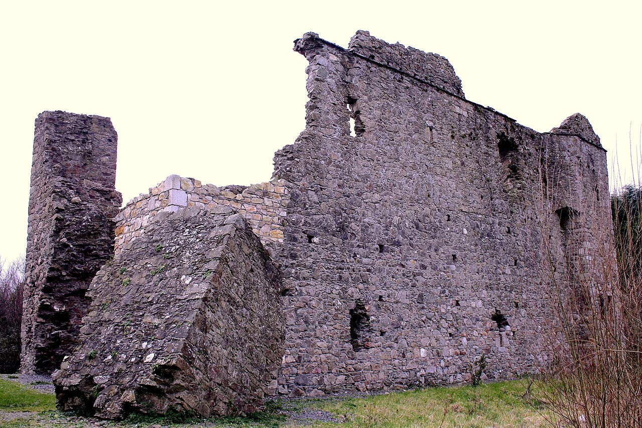 Kindlestown Castle — Ireland castle