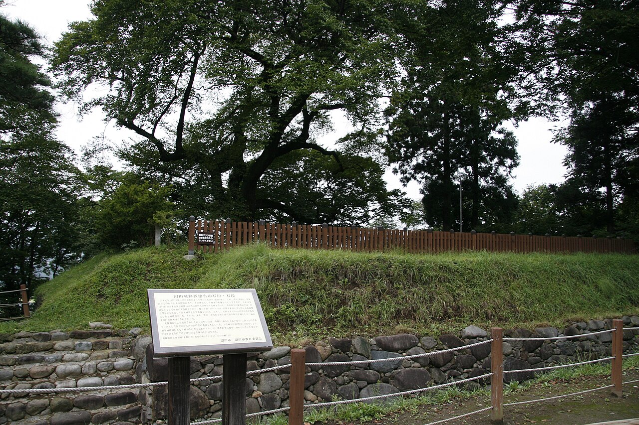 Numata Castle — Japan castle