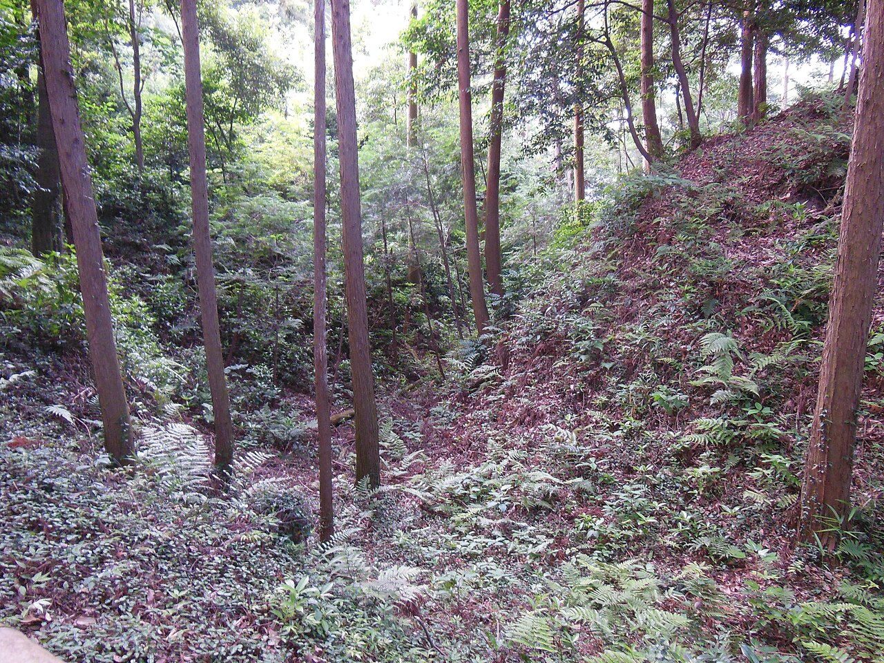 Noda Castle — Japan castle