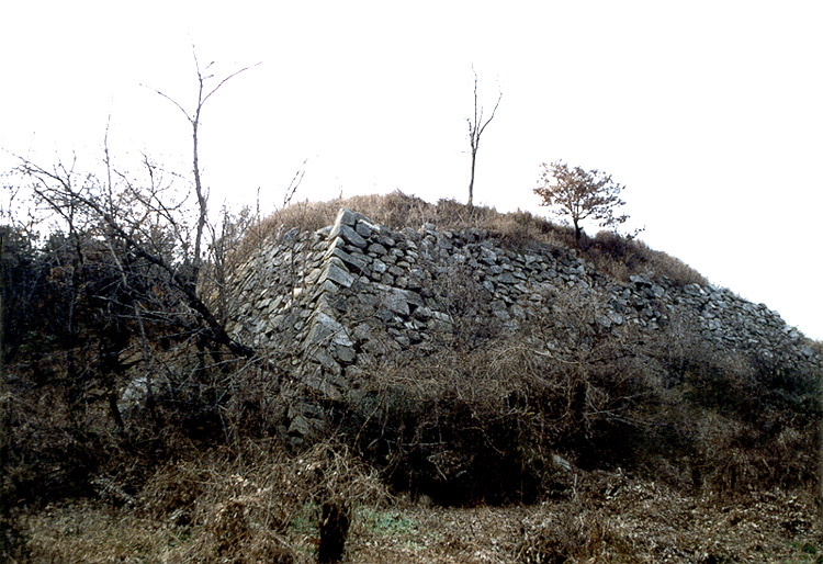 Gupo Waeseong — Korea (Republic of) castle